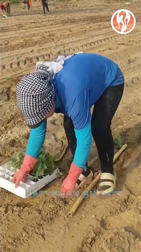 Measurement | Measuring distance with a stick