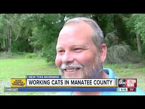 'Working Cat' program puts feral felines to work catching mice