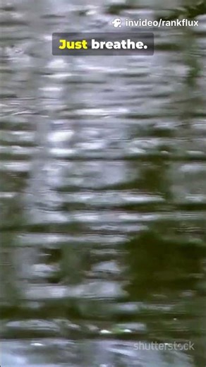 Ultimate Tingles ASMR – Sleep, Relax & Melt Your Stress Away 😴✨