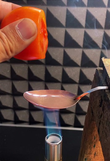 Tomato Reaction to Hot Spoon Experiment