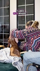 56K views · 176 reactions | Bessler update ❤️ Really hoping this new...