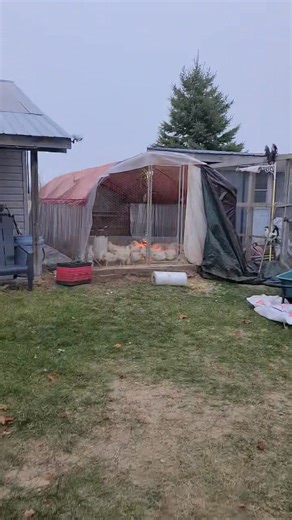 1.5K views | Homesteading in Canada is not for the faint of heart. ❄️...