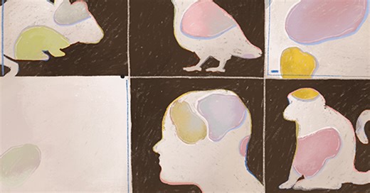 Why emotion research is stuck—and how to move it forward