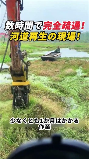 数時間で完全疏通！ 河道再生の現場！ #重機作業 #河川清掃 #ボランティア #インフラ整備 #善行