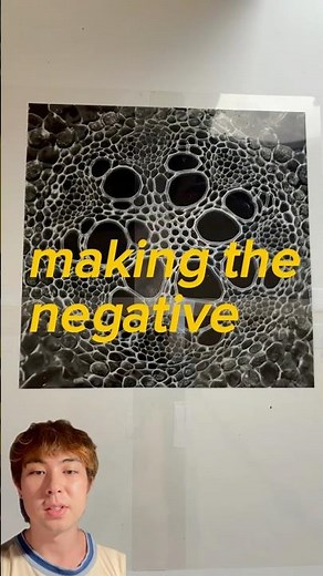 printing beautiful cyanotypes with negatives