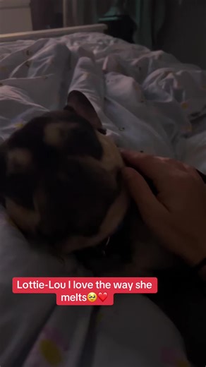 LunaWolf (@luna_wolf_17)’s videos with original sound - 𝐓 𝐀 𝐒 𝐇 𝐀 🇿🇼