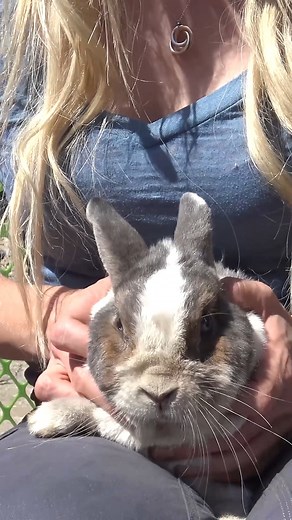 65K views · 3.1K reactions | This is not our first rescue in a...