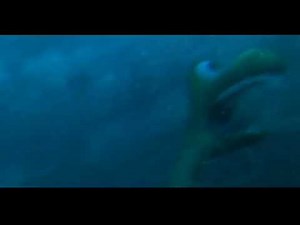 The Good Dinosaur Underwater Scenes
