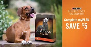 13K views · 149 reactions | Purina Pro Plan on Reels | Facebook