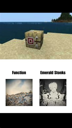 Fletching Table Is Emerald Generator#minecraft #memes