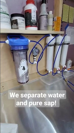 Using RO to filter water from sap! #mapleseason #mapletrees #sugarshack #reverseosmosis #maplesyrup