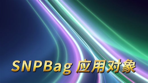SNPBag 应用对象