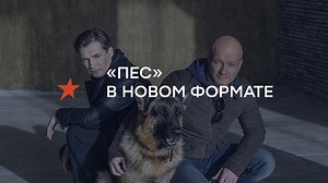 Сериал «Пес» — все сезоны в новом формате смотреть онлайн | Серіали ICTV