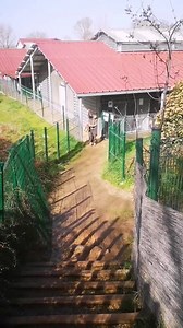 24K views · 1.1K reactions | En ce jeudi matin c'est une partie de l'équipe de salariés avec un petit extrait des sorties chiens d'hier. Pour vous souhaiter à tous une très bonne journée  En vous attendant à 14h ça galope, ça nettoie ça sort quelques chiens et une deux trois et une deux trois, et on essaye dans la bonne humeur  | La SPA - Refuge Le Garric | Facebook