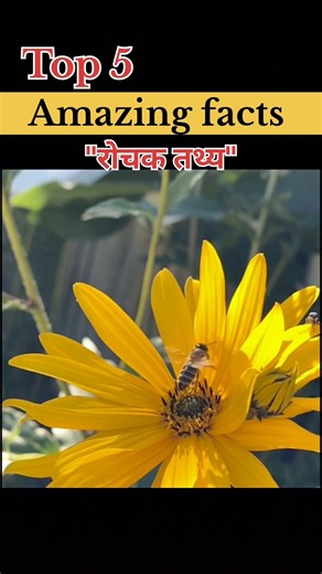 “Sach Jo Aapko Shock Kar Dega 🤯 | 5 Amazing Facts”
