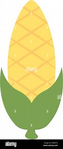 vegetable cob flat style icon vector illustration design Stock Vector Image & Art - Alamy