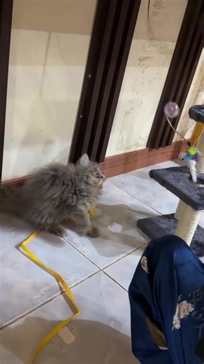 Resch (@duo_resch)’s videos with original sound - Resch