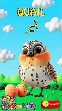 10 Birds Names for Kids 🦜| English & Urdu Bird Names with Pictures | #shorts #birds ‪@SaniKidstv15‬