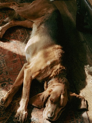 A Requiscat: Prayer for the Dead — Requiscat by Briton Rivière