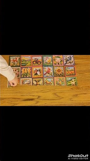 Satisfying Puzzle Timelapse #puzzle #satisfying #timelapse #puzzletimelapse