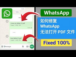 Whatsapp 无法打开 PDF 文件（2025 年最新更新）|| 如何解决 Whatsapp PDF 文件无法打开的问题