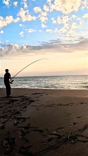 Tommy Mai’s Pompano Rigs in Action! 🎣🔥 | Catching Pompano
