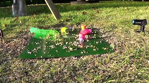 Funny Animal Videos ( Clean For Kids )