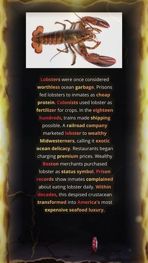 Lobsters Worth Fortunes Today Were Prison Garbage