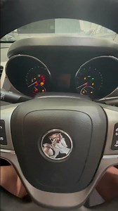 VF Holden Commodore Evoke SIDI Startup! #holdencommodore #v6