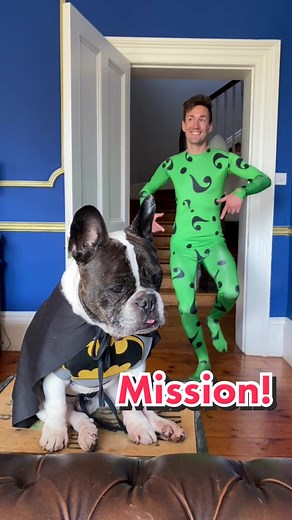 Mission accomplished! 😘🐾🙌 #fyp #ericcharming #thebatman #frenchiesoftiktok