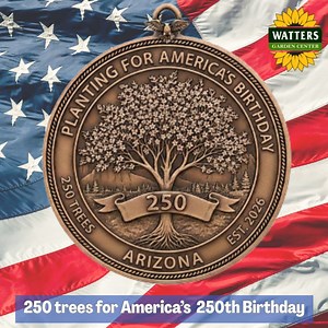 🇺🇸 250 trees for Americas 250th Birthday | Ken Lain