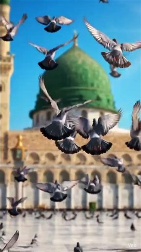 Main Ban Jaun Madine Ka Musafir | Emotional Naat Status 🕋