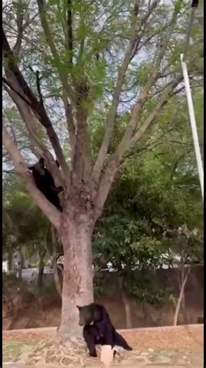 Two silly ones just hanging out in spring break. #nature #naturelovers #viral