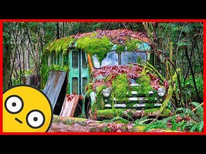 Abandoned Buses, Old abandoned Rusty Buses, Autobuses 🚌 Bus Video, Autobuses Abandonados
