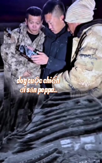 Cuộc chiến săn Peppa để bảo vệ đàn cừu