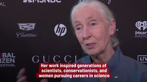 Tributes Paid To Conservationist Jane Goodall Who Died Aged 91