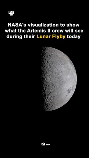 See What Artemis II Astronauts Will Witness Today! NASA Lunar Flyby Visualization #shorts #nasa