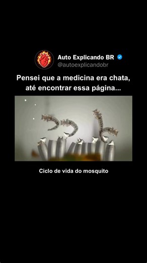 Medicina | Biologia I Curiosidades | Saúde on Instagram: "🦟 Ciclo de vida de um mosquito: como ele se desenvolve tão rápido O mosquito passa por 4 estágios até virar adulto: ovo, larva, pupa e adulto. 🥚 Ovo: A fêmea deposita os ovos em água parada. 🐛 Larva: Os ovos eclodem e as larvas vivem e se alimentam na água. 🐞 Pupa: Nessa fase, o inseto não se alimenta e passa pela transformação interna. 🦟 Adulto: O mosquito emerge. As fêmeas picam para obter sangue e produzir novos ovos, reiniciando
