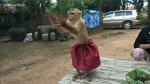 Laughing YaYa Dancing With Clapping | Monkey Shally