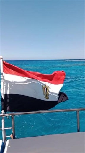 The Egyptian Flag Flying Over the Red Sea 🇪🇬🌊 | Boat Trip in Egypt