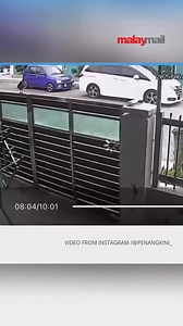 20K views · 130 reactions | The way it slowly got closer to the package — this crow clearly had a plan. | Malay Mail | Facebook
