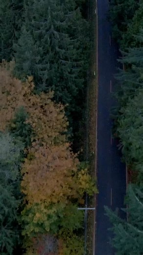 Only cattle like these in the world — true Micro & Mini Highland excellence. Join us Sunday for Rocking L Ranch’s seventh New Frontier sale and own genetics that redefine sustainability, type, and reproducible success. NEW FRONTIER SALES SERIES VII Sunday, November 9 — 11:00 AM PDT Online at microminicattle.com What’s offered - Miniature Highland cattle - Micro Highland calves - Embryos & bull straws - Creative breeding packages Why attend - Industry-leading, true-breeding Micro & Mini Highland 