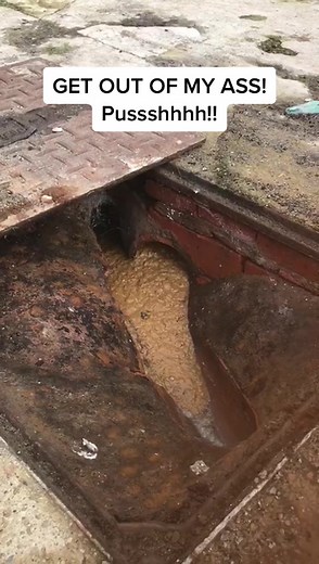 When it’s trying but just won’t come out! Get out of my Ass!! #poo #push #stinky #funny