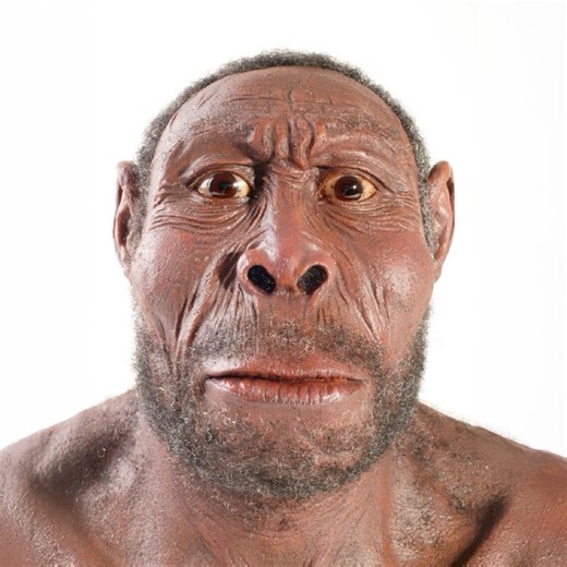 4.9M views · 68K reactions | 8 Extinct Human Species | Facts that will blow your mind | Facebook