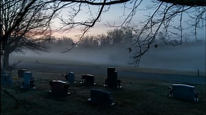 US suicides dropped last year, defying pandemic expectations