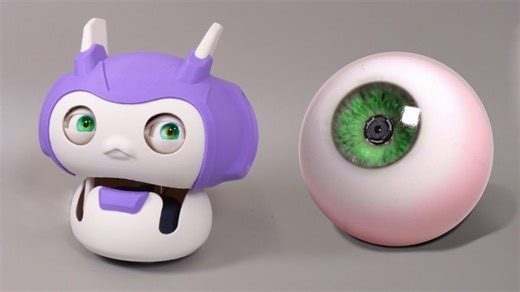 Building a Robot that Sees (Through its Own Eyes)