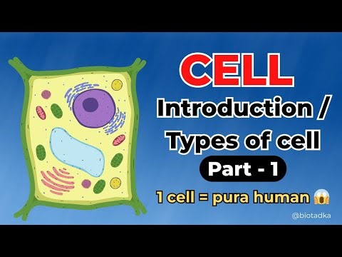 CELL – Part 1 | Introduction & Types of Cell (Basic to Advance)