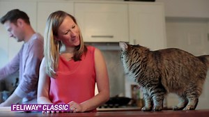 501K views · 1.6K reactions | Il tuo gatto è stressato e ha problemi di comportamento? Scopri come Feliway Classic può aiutarti! #HappyTogether | Feliway Italia | Facebook