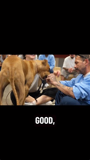 2.3K views · 137 reactions | We’re sure you’ve seen the gentle...