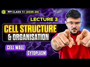 Cell wall, Cytoplasm | Cell Structure And Organization, Lecture 3 | Class 11 Biology | MH Board